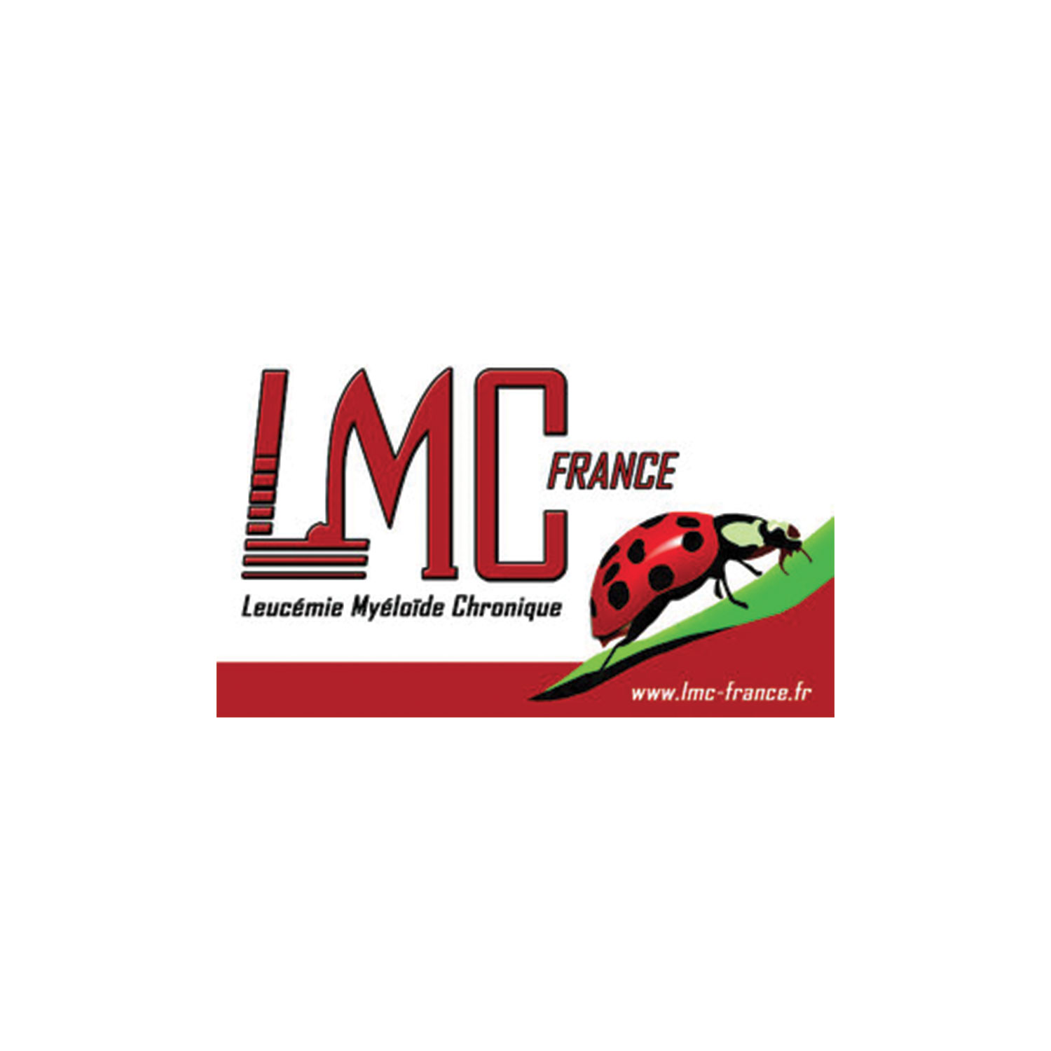 Logo association - LMC France